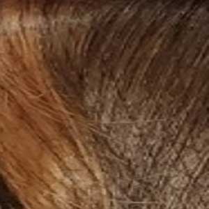 Bobbi Boss 100% Human Hair Wig - MH1223 CLOVER - Image 9