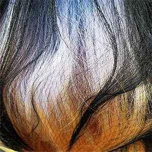 Bobbi Boss Human Hair Blend 13X4 Swiss Lace Front Wig - MBLF180 DAYANA - Unbeatable - Image 15
