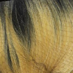 Bobbi Boss Lace Front Wig - MLF191 ADINA - Unbeatable - Image 14
