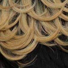 Freetress Equal Synthetic Wig - ERICA - Image 4