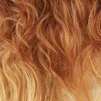 Freetress Equal Synthetic Wig - ERICA - Image 7