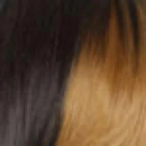 Freetress Equal Synthetic Hair 5 Inch Lace Part Wig - VIVIAN - Image 4