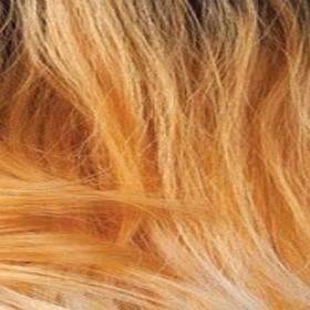 Freetress Equal Synthetic Premium Delux Lace Front Wig - CAMERON - Image 16