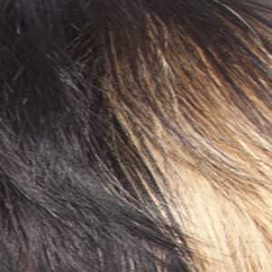 It's A Wig Human Hair Wig - HH ECHO - Clearance - Image 6