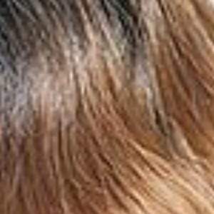 Mane Concept Melanin Queen 11A Human Hair StyleMix Lace Wig - ML1103 LIGHT YAKI 26" - Clearance - Image 12
