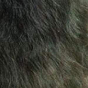 Mane Concept Red Carpet Synthetic Lace Wig - RCV201 VEGA - Clearance - Image 14