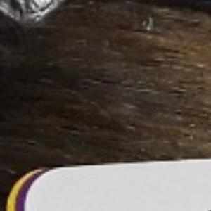 Motown Tress Let's Lace Curve Part Synthetic Swiss Lace Front Wig - LDP CURVE2 - Image 13
