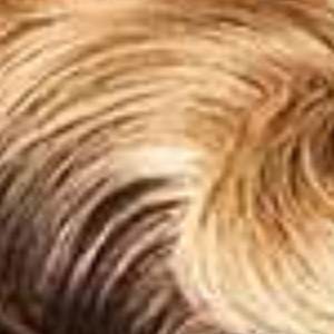 Outre 100% Human Hair Premium Duby Diamond Wig - TRUDY - Image 9