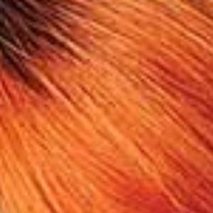 Outre 100% Human Hair Premium Duby Wig - JAYNE - Image 19