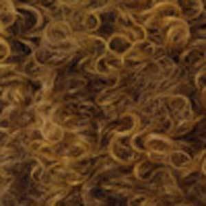 Outre Big Beautiful Hair Synthetic Lace Front Wig - 4A SPRING SPIRAL - Clearance - Image 14