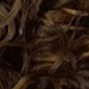 Outre Big Beautiful Hair Synthetic Lace Front Wig - 4A SPRING SPIRAL - Clearance - Image 15