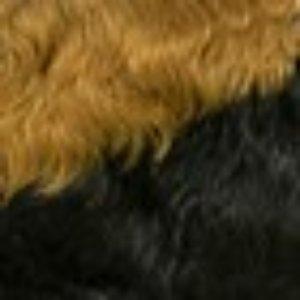 Outre 100% Human Hair Premium Duby Wig - PIXIE - Image 7
