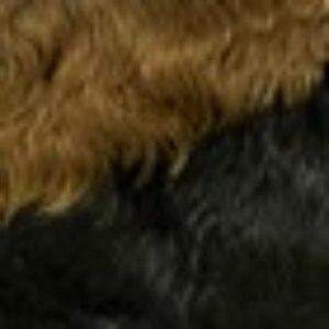 Outre 100% Human Hair Premium Duby Wig - PIXIE - Image 8