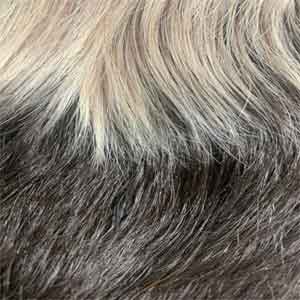 Outre Wigpop Synthetic Hair Full Wig - RIKA - Clearance - Image 16