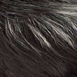 Sensationnel Empire Salt & Pepper 100% Human Hair Celebrity Series Wig - DENIA - Image 13