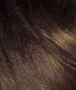 Sensationnel Shear Muse Mystic Krush Glueless Y-Part HD Lace Front Wig - ESME - Image 13
