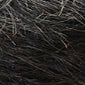 Sensationnel Synthetic Hair Dashly Salt & Pepper Lace Wig - SP LACE UNIT9 - Image 16
