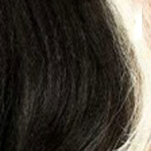 Zury Sis Prime Human Hair Blend Lace Front Wig - PM FP LACE NADIA - Unbeatable - Image 7