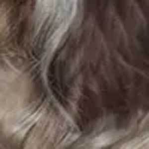 Zury Sis The Dream 6" Deep Part Synthetic Hair Wig - DR FREE H PETA - Image 13